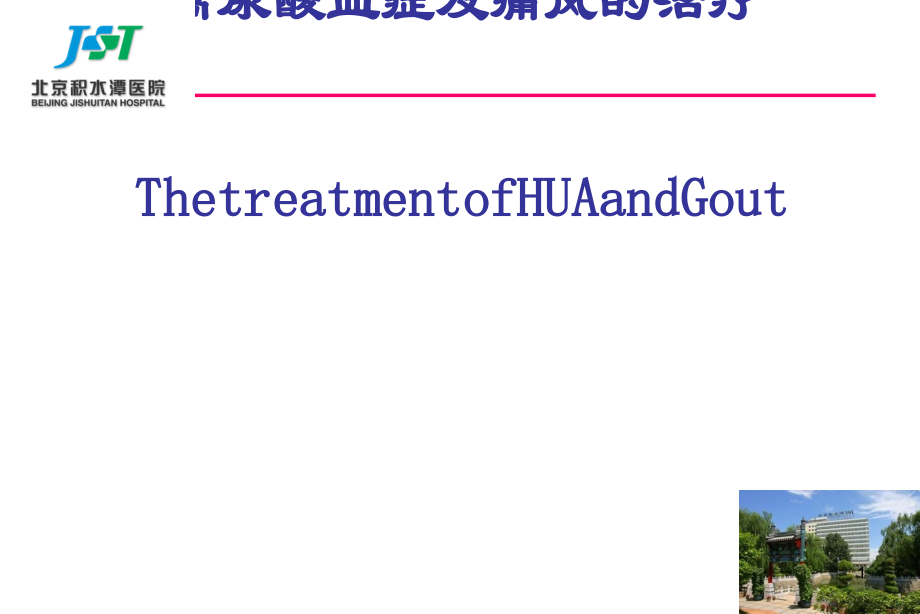 高尿酸血症与痛风治疗.ppt_第1页
