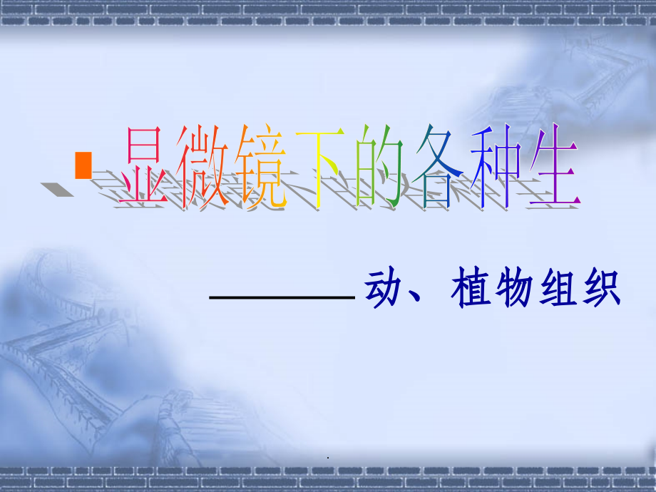 动物组织与植物组织.ppt_第1页