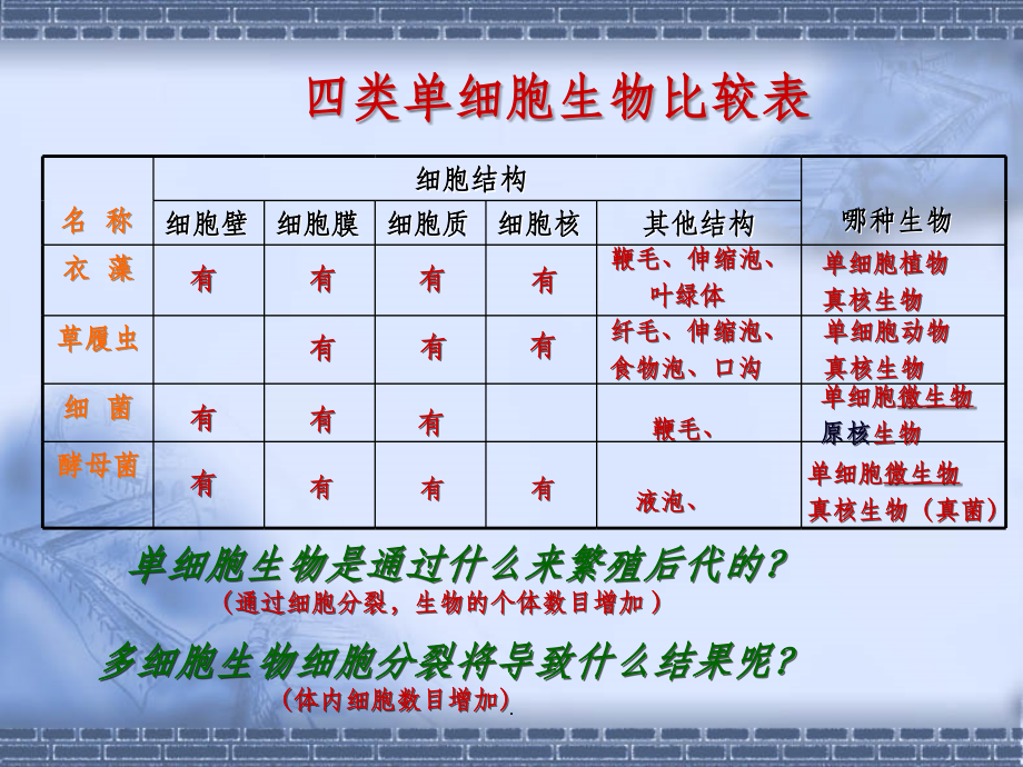 动物组织与植物组织.ppt_第2页
