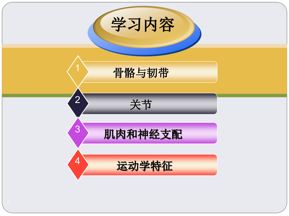 关节运动学肩关节.ppt_第2页