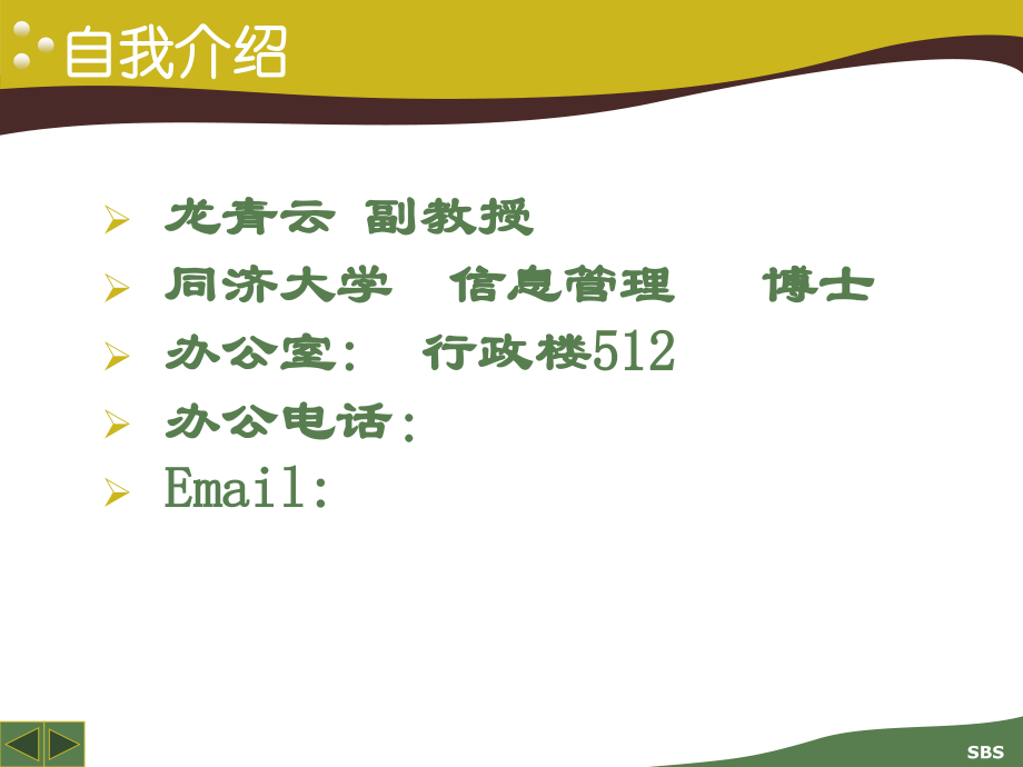 信息系统和管理.ppt_第2页
