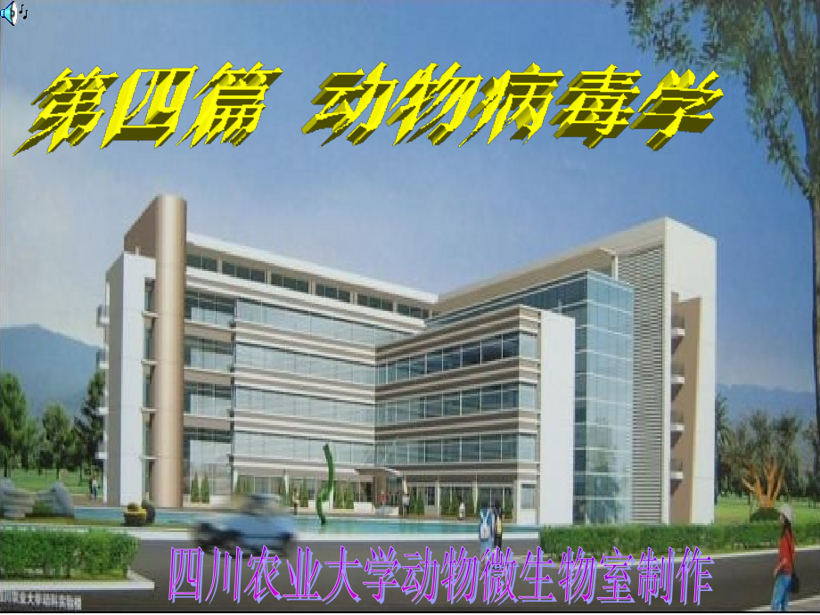 动物病毒学第五版.ppt_第1页