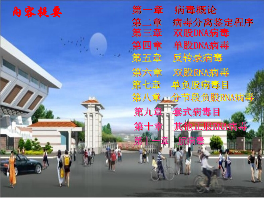 动物病毒学第五版.ppt_第2页