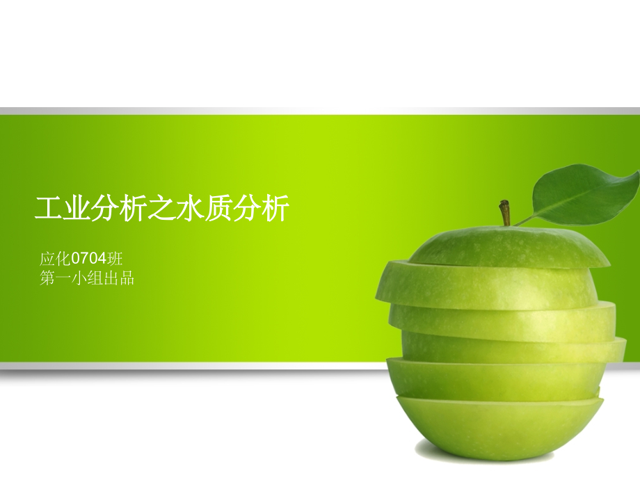 工业分析精.ppt_第1页