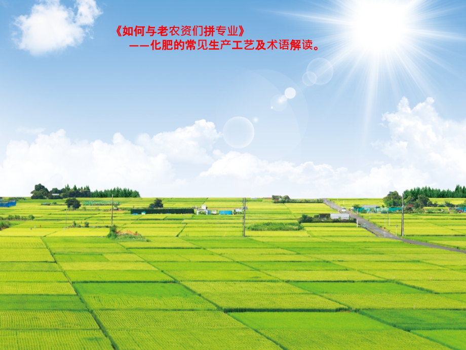 化肥的常见生产工艺及术语解读.ppt_第1页