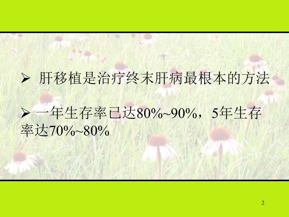 肝移植护理ppt课件.ppt_第2页