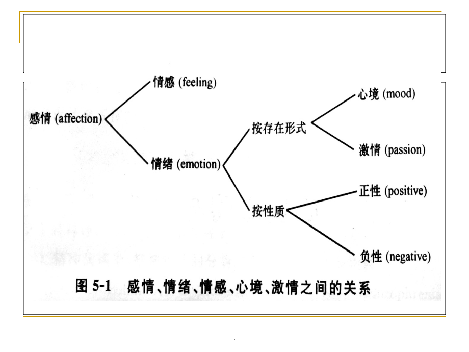 变态心理学第9章.ppt_第2页