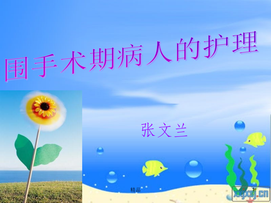 围手术期病人的护理ppt课件.ppt_第1页