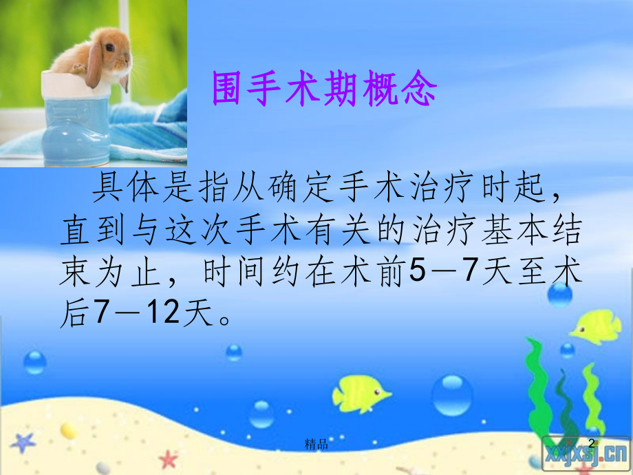围手术期病人的护理ppt课件.ppt_第2页