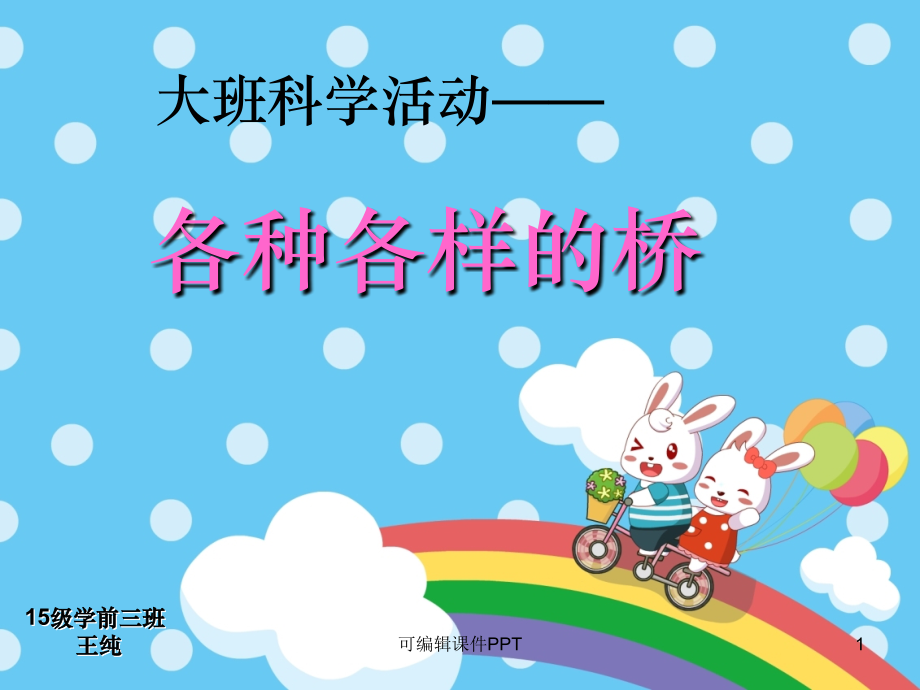 大班科学活动《各种各样的桥》.ppt_第1页