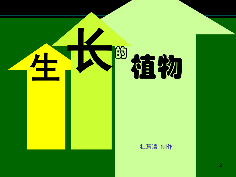 四年级上美术生长的植物浙美版.ppt_第2页