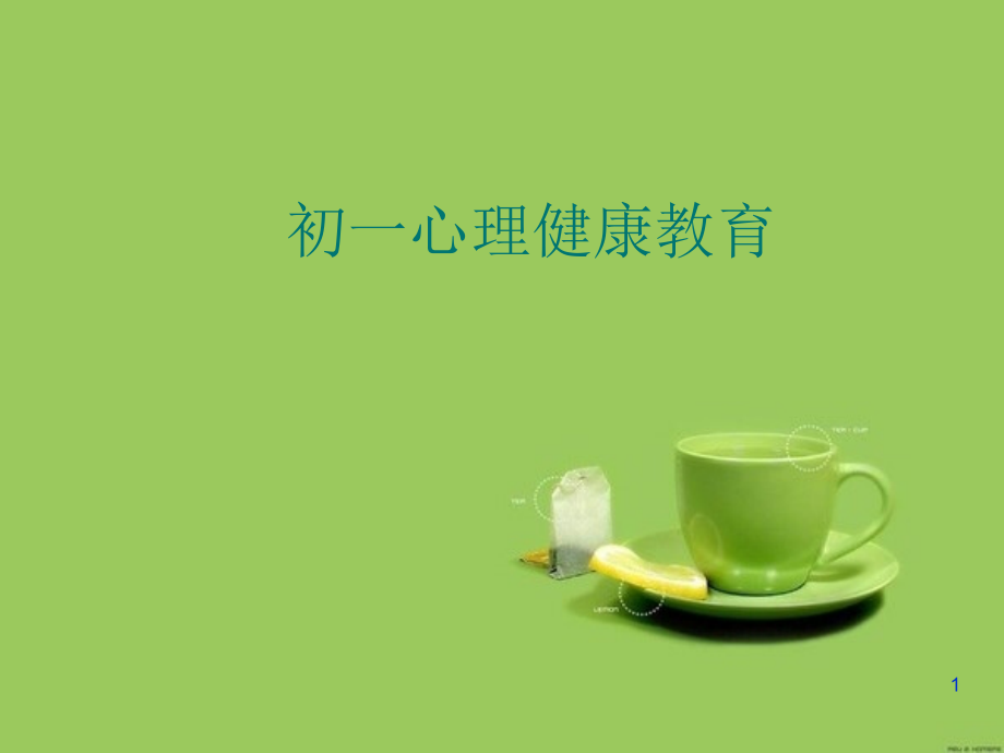 初一心理健康PPT.ppt_第1页