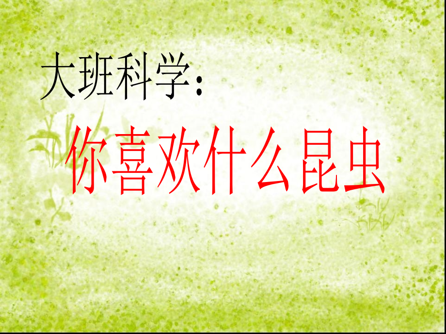大班科学你喜欢什么昆虫.ppt_第1页