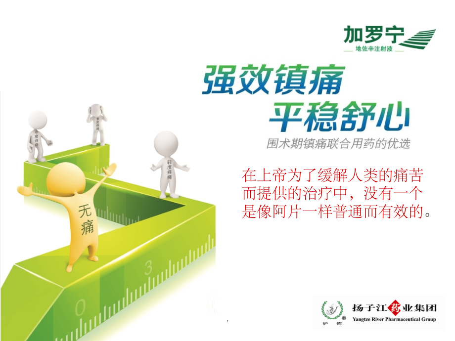 地佐辛注射液使用指南.ppt_第1页