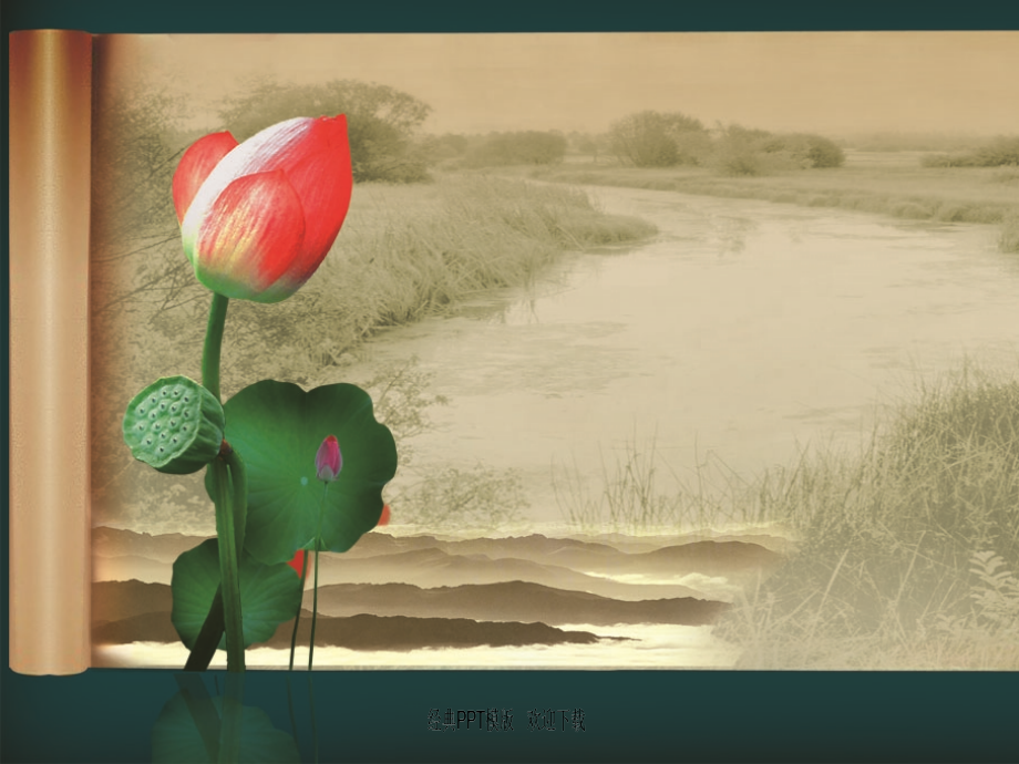 荷花莲子卷轴画卷水墨中国风ppt模板4p.ppt_第1页