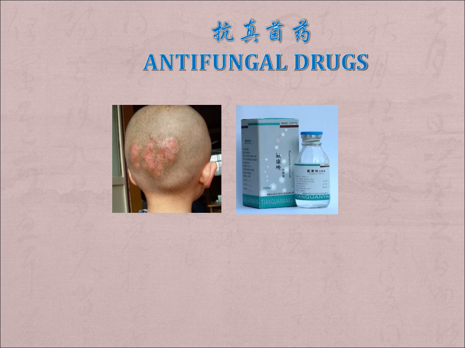 抗真菌药.ppt_第1页