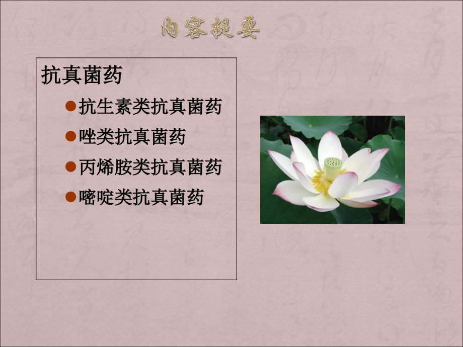 抗真菌药.ppt_第2页