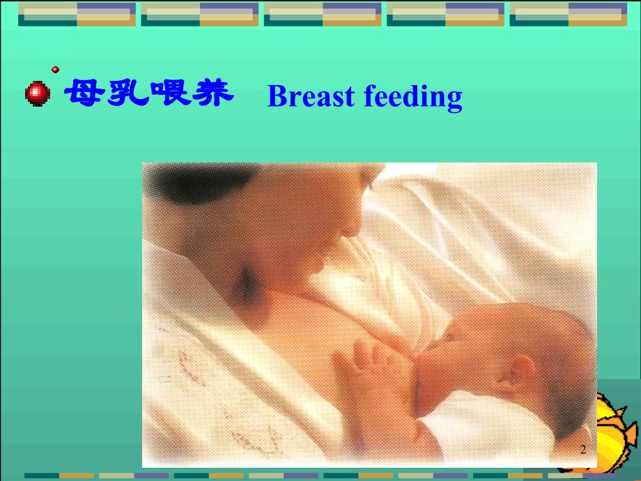 婴儿喂养方法.ppt_第2页