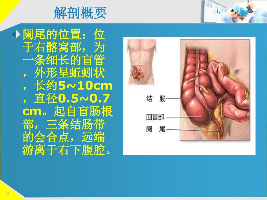 急性阑尾炎的诊断及治疗.ppt_第2页