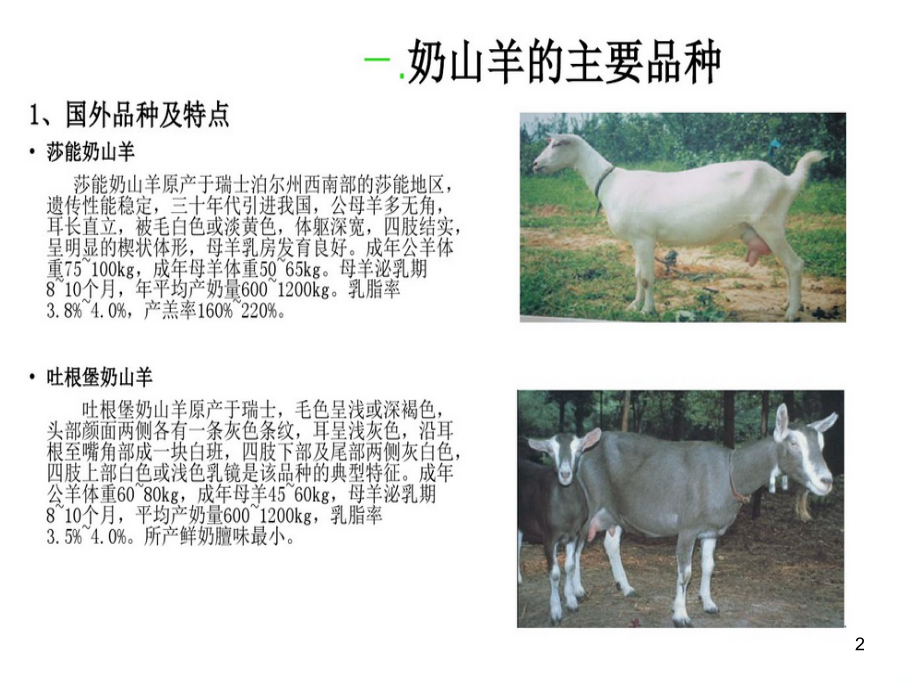 奶山羊PPT课件.ppt_第2页