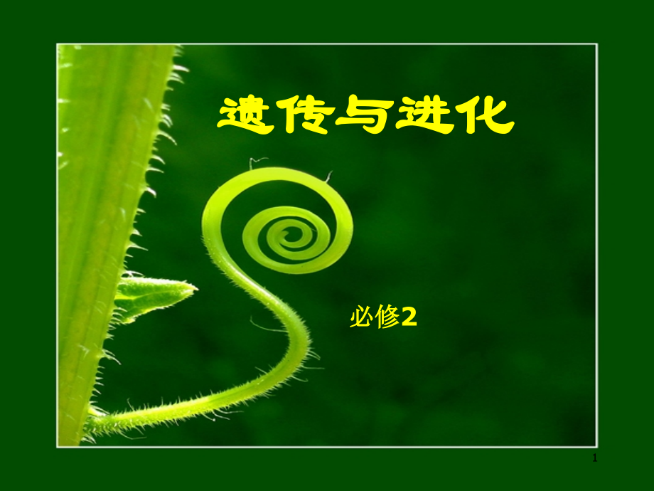 孟德尔的豌豆杂交实验分离定律.ppt_第1页