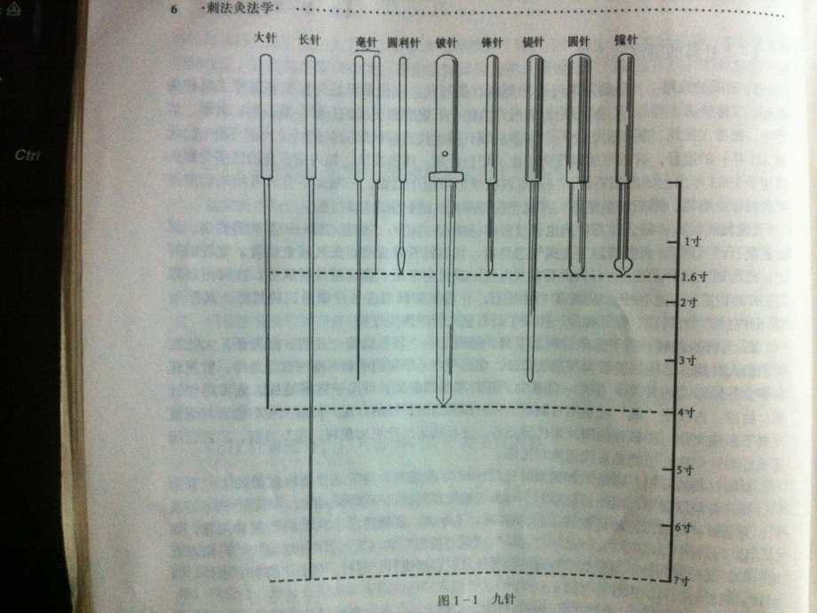 芒针疗法.ppt_第2页