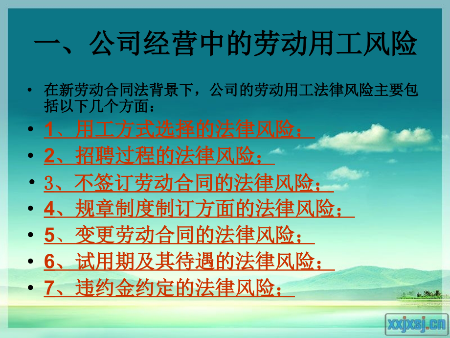 公司经营中的劳动用工风险与防范讲座.ppt_第2页