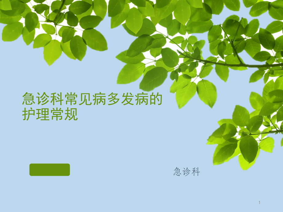 各种常见病的护理.ppt_第1页