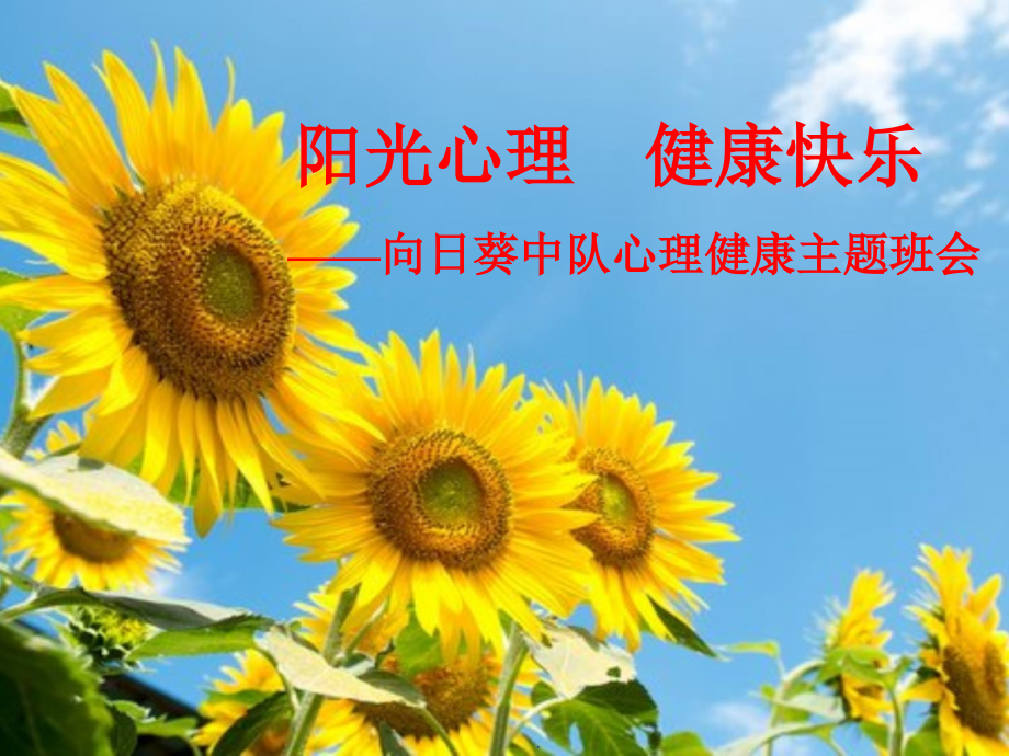 “阳光心理-健康快乐”主题班会PPT优质课件.ppt_第1页