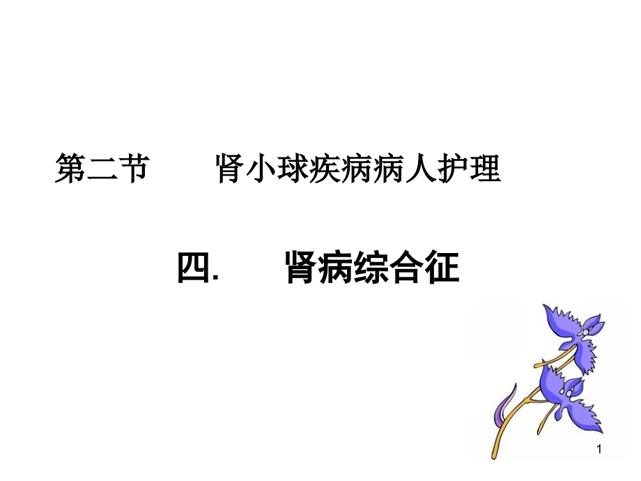 内科护理学肾病综合征.ppt_第1页