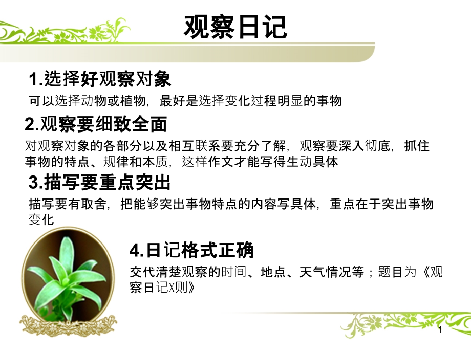 绿豆芽观察日记ppt课件.ppt_第1页