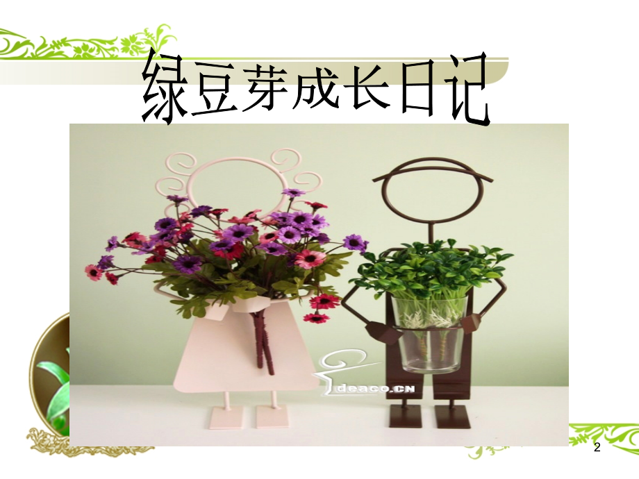 绿豆芽观察日记ppt课件.ppt_第2页