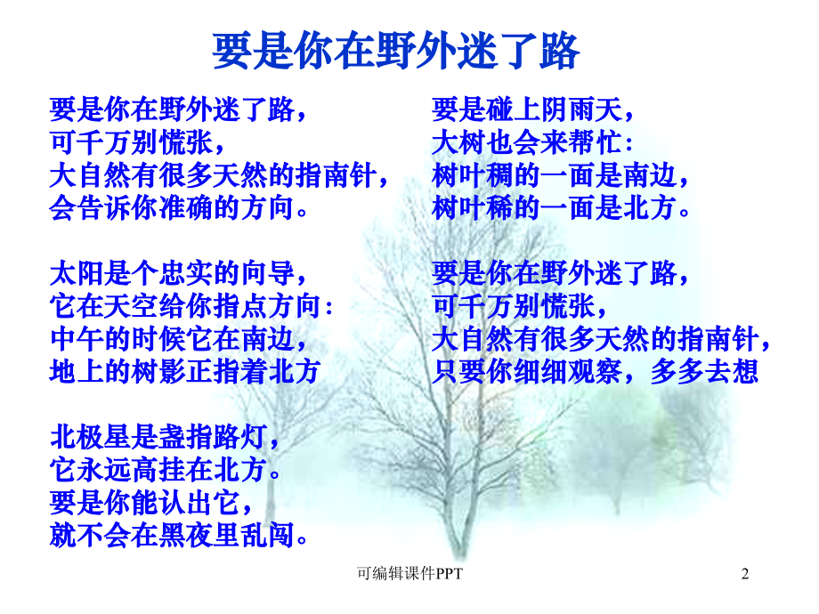 大自然的语言优秀精.11.ppt_第2页