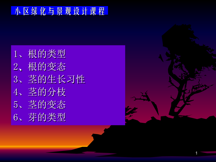 根茎的类型和变态.ppt_第1页