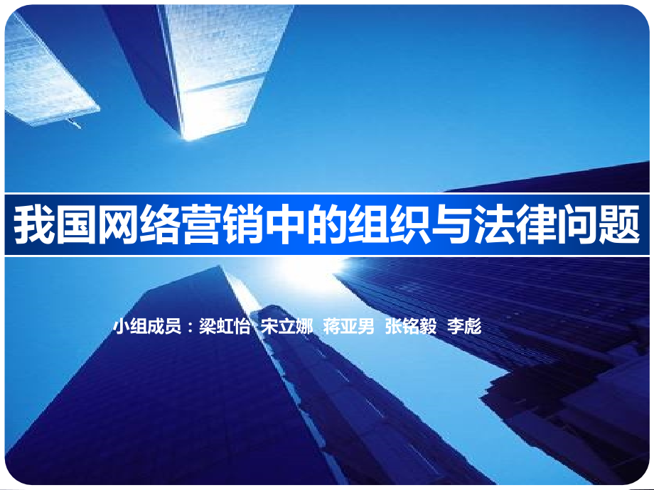 我国网络营销中的组织与法律问题.ppt_第1页