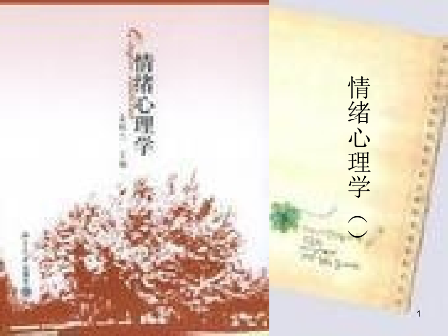 情绪心理学.ppt_第1页