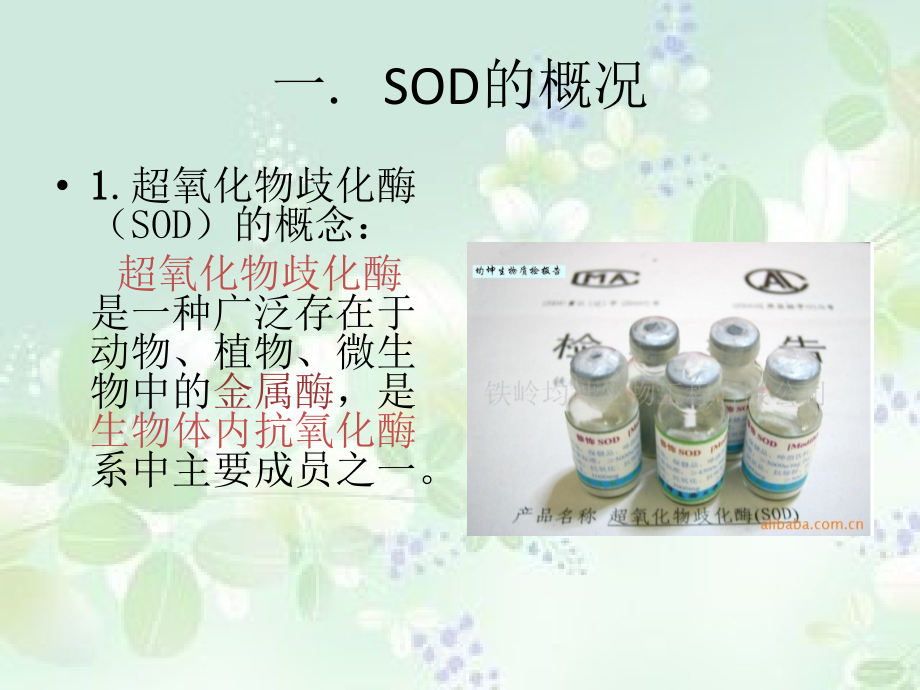 超氧化物歧化酶(SOD)生产.pptx_第2页