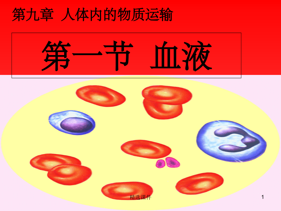 北师大版七年级生物血液.ppt_第1页