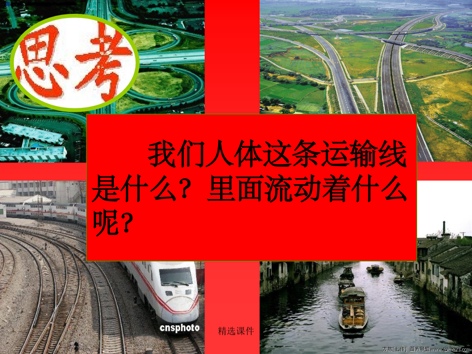 北师大版七年级生物血液.ppt_第2页