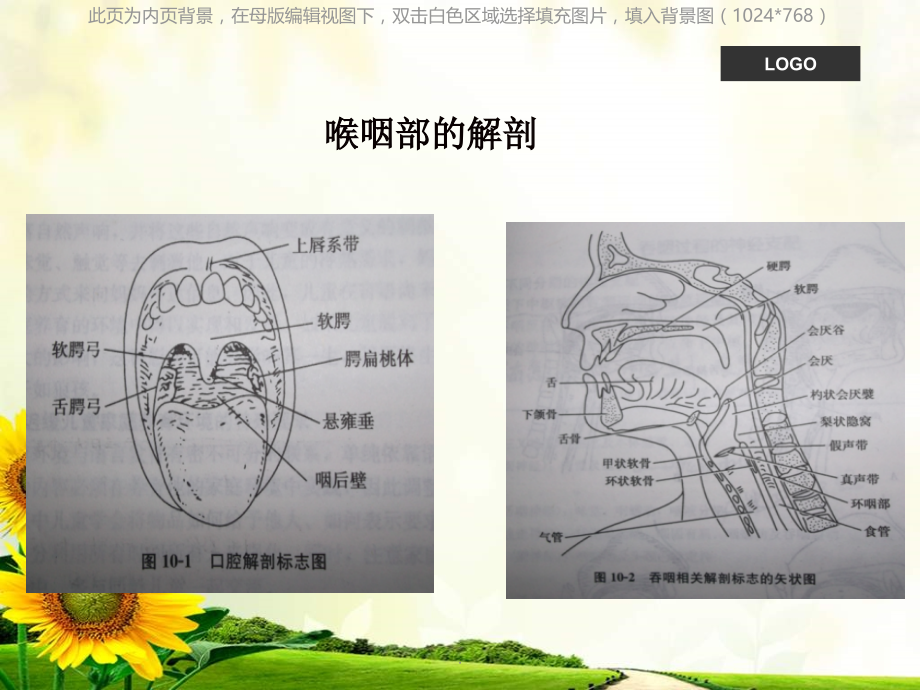 吞咽困难护理查房.ppt_第2页