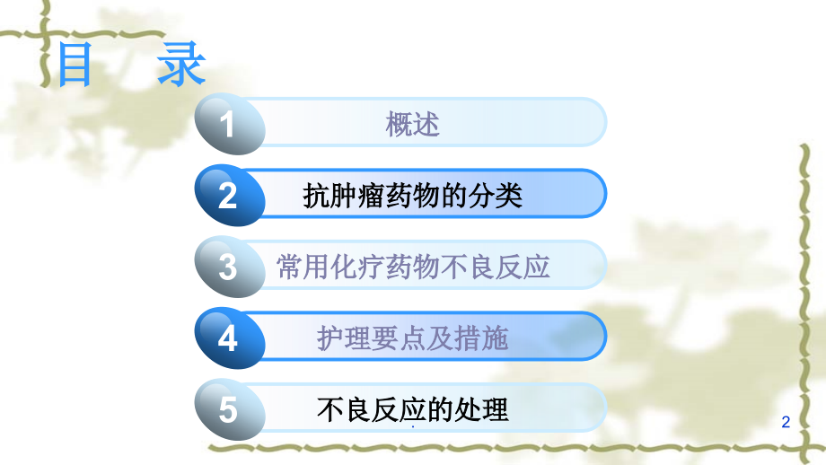 恶性肿瘤病人的化疗护理.ppt_第2页