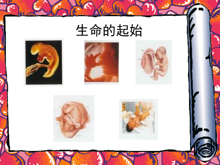 孕产期保健.ppt_第2页