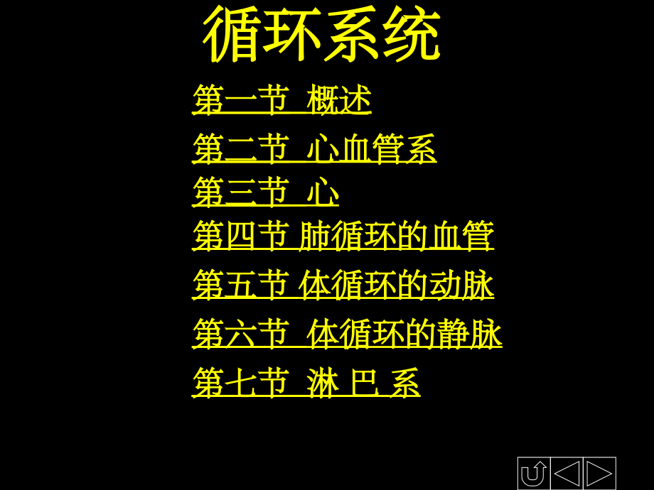 正常人体解剖学——循环系统.ppt_第1页