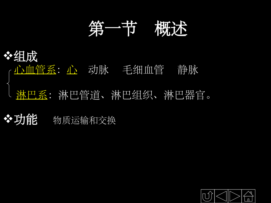 正常人体解剖学——循环系统.ppt_第2页