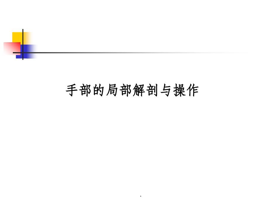 手部局部解剖-.ppt_第1页