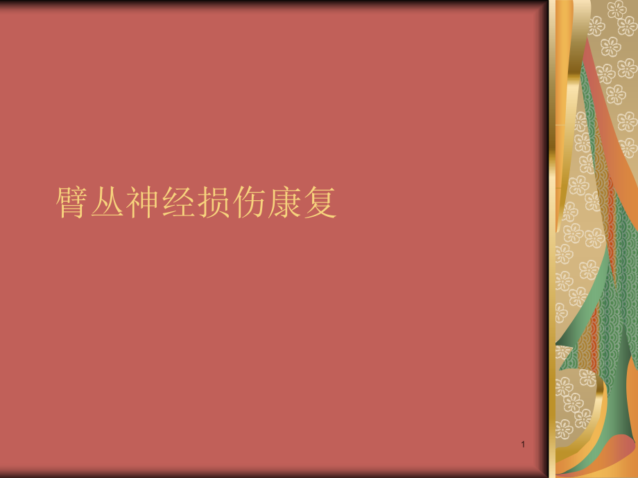 臂丛神经损伤康复ppt课件.ppt_第1页