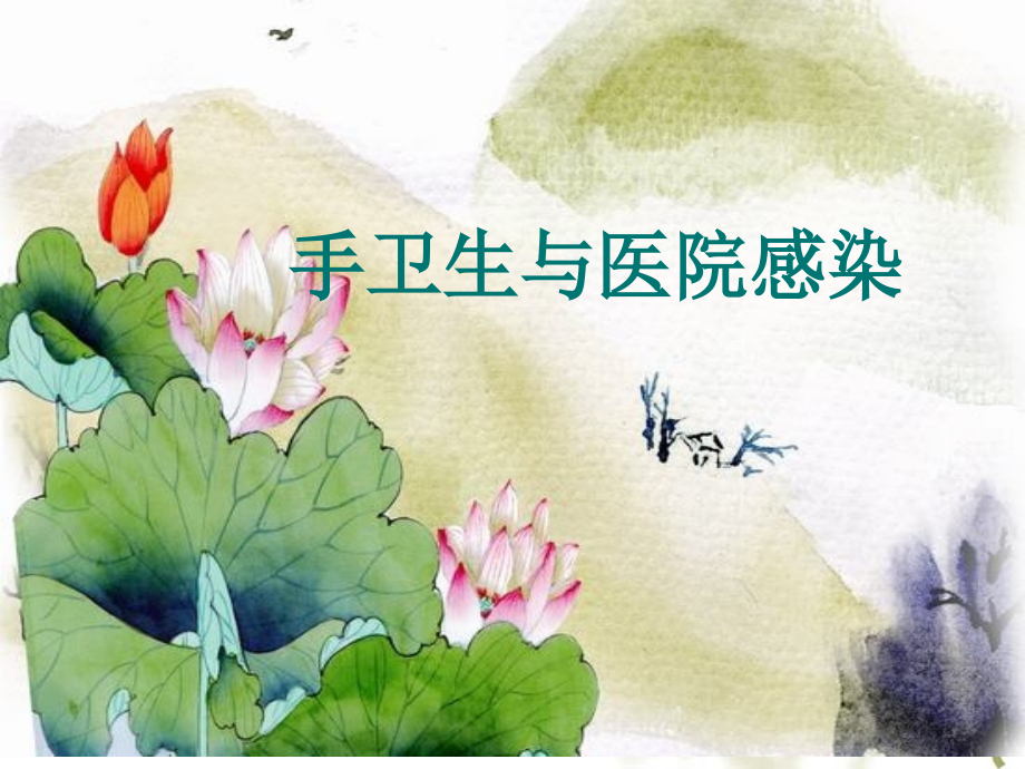 手卫生与医院感染.ppt_第1页