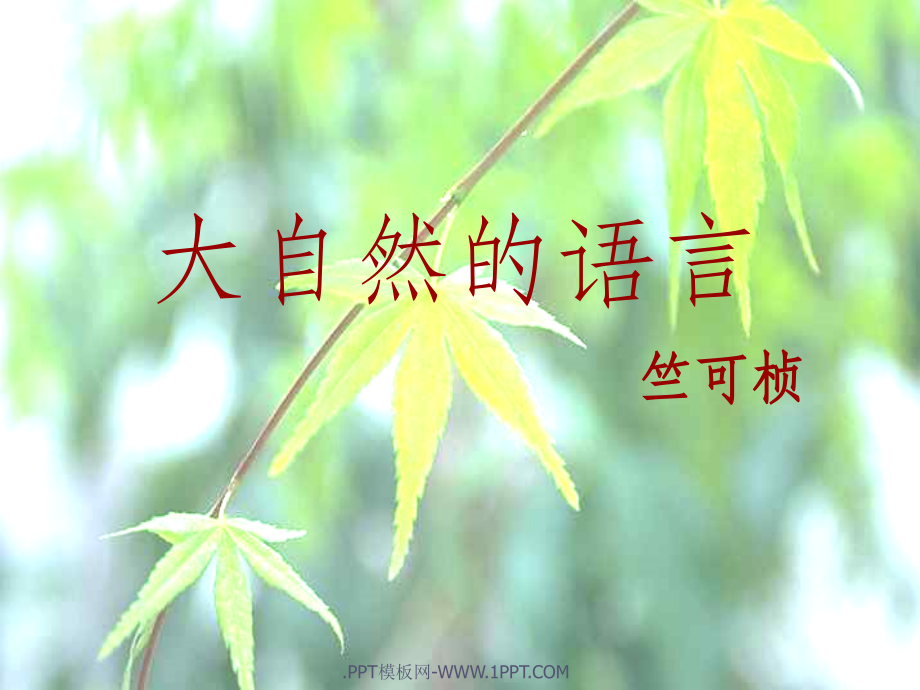 大自然的语言1完整.ppt_第1页