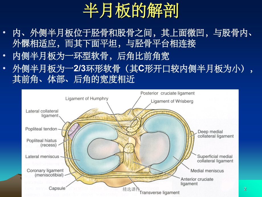 半月板损伤标准.ppt_第2页