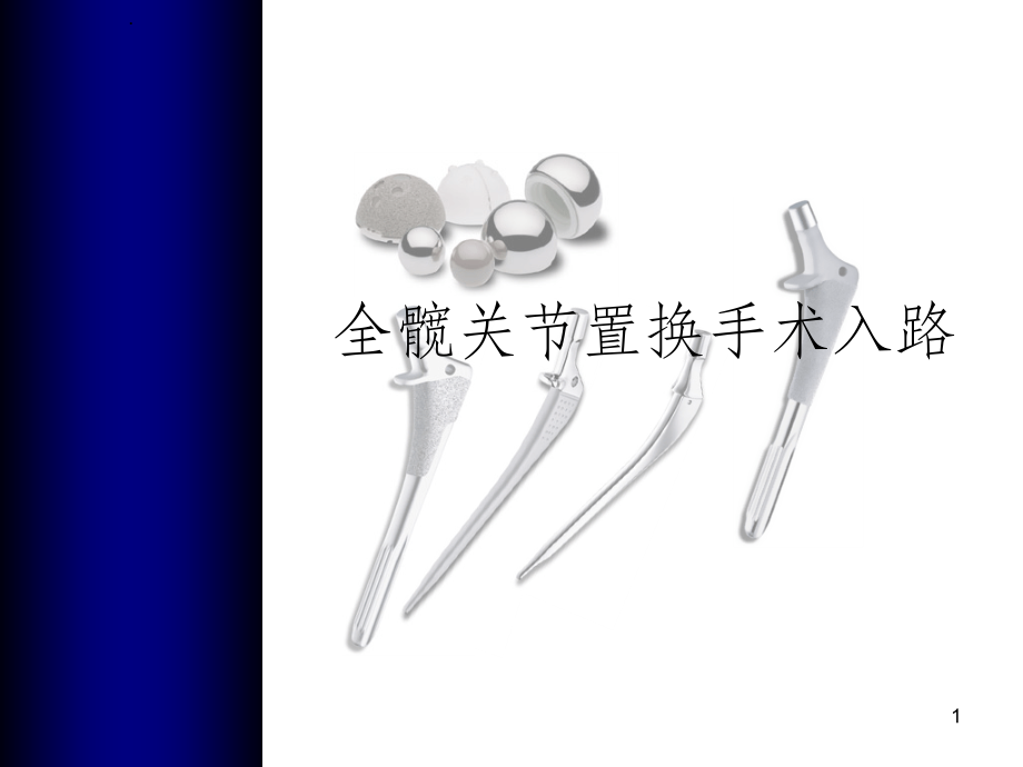 全髋关节置换手术入路.ppt_第1页